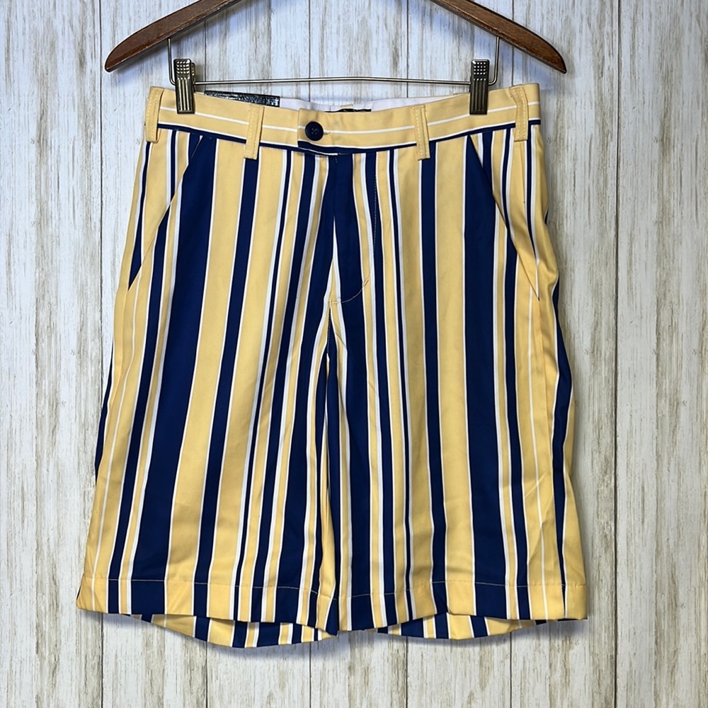 Fans Gone Wild Statement Shorts Blue and Yellow Stripe Size 28